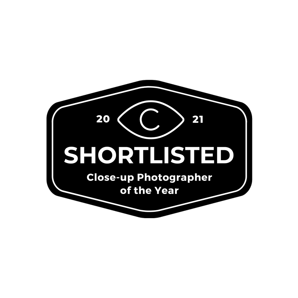 CUPOTY 03 Shortlist