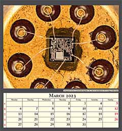 Integrated circuit, operational amplifier 741, year of manufacture 1974. Image width 4mm