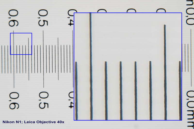 Mikrofoto Objektmikrometer